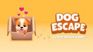 Canine Conundrum Rescue