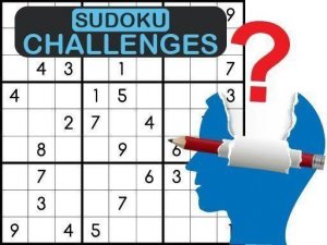 Grid Deduction Challenge