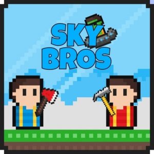 Sky Bros Online Arcade Game